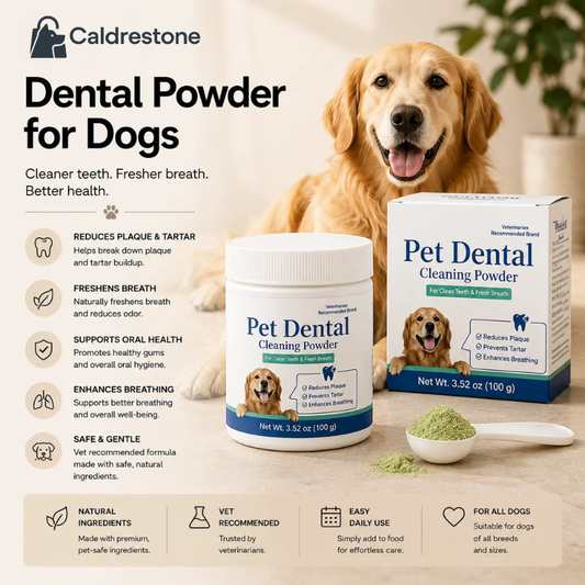 Wondimagegne Dental Powder For Dogs