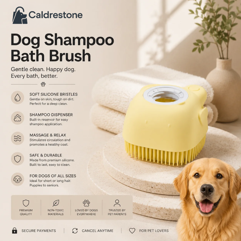 Wondimagegne Shampoo Bath Brush