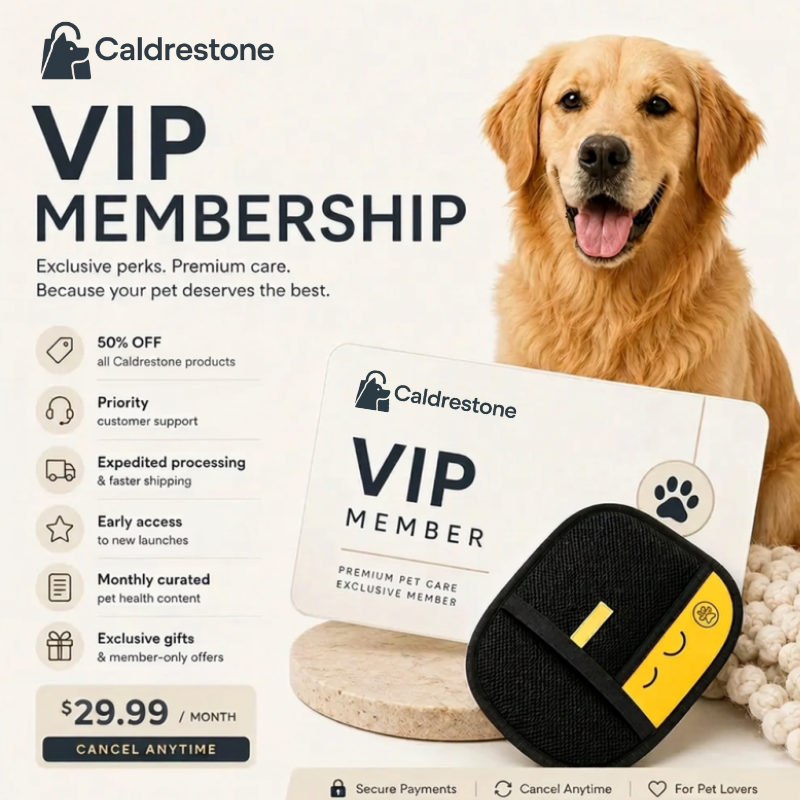 WONDIMAGEGNE VIP MEMBERSHIP